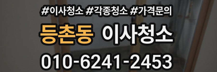 등촌동 이사청소