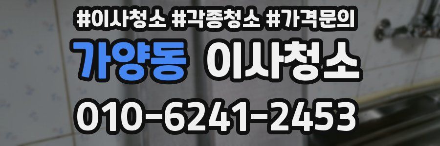 가양동 이사청소