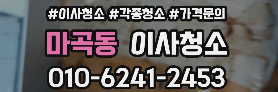 마곡동 이사청소