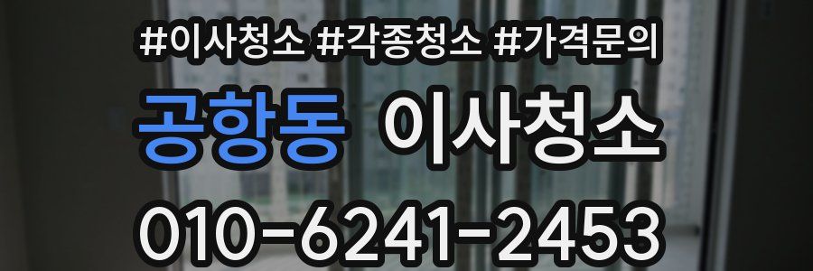 공항동 이사청소