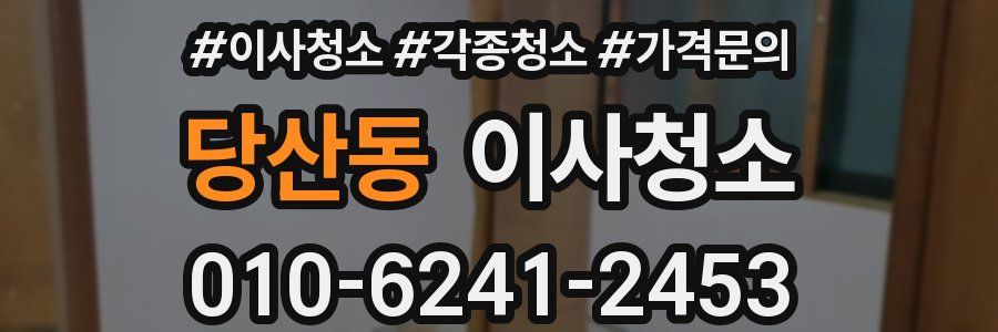 당산동 이사청소