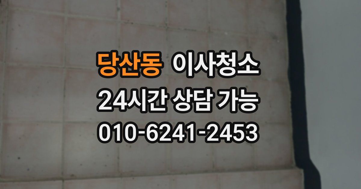 당산동 입주청소