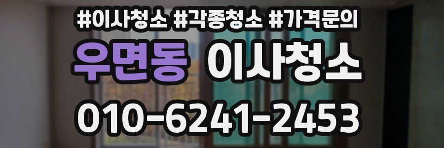 우면동 이사청소