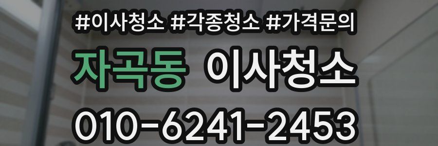 자곡동 이사청소