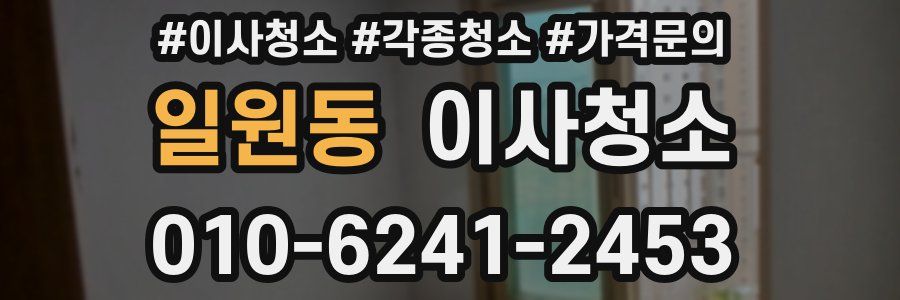 일원동 이사청소