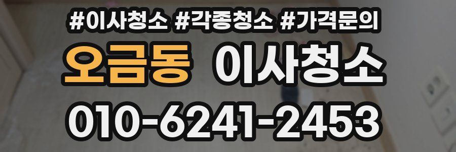 오금동 이사청소