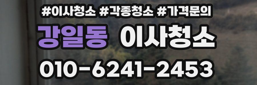 강일동 이사청소