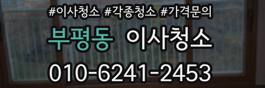 부평동 이사청소