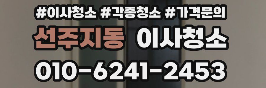 선주지동 이사청소