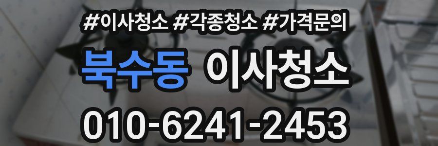 북수동 이사청소