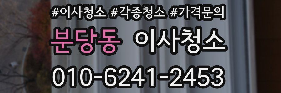 분당동 이사청소