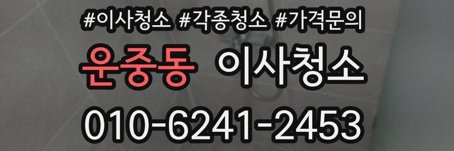 운중동 이사청소