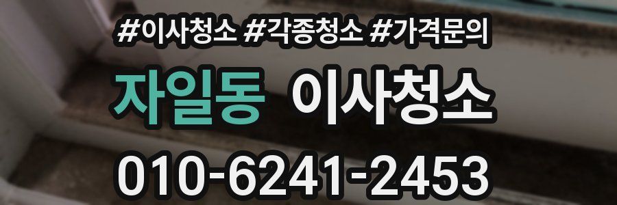 자일동 이사청소