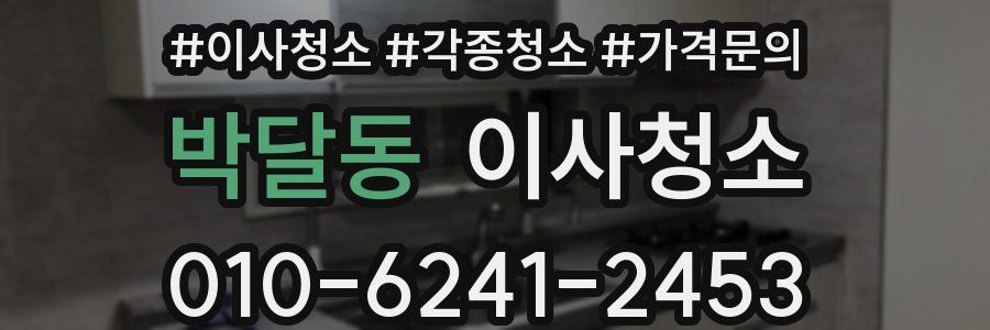 박달동 이사청소