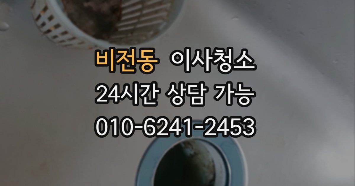 비전동 입주청소