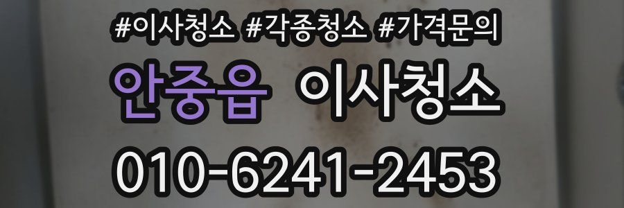 안중읍 이사청소