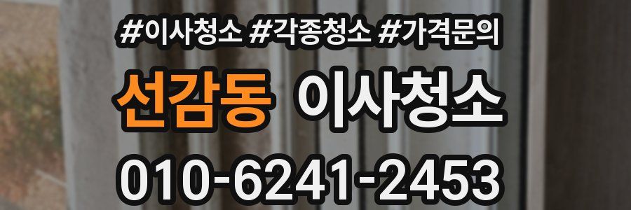 선감동 이사청소