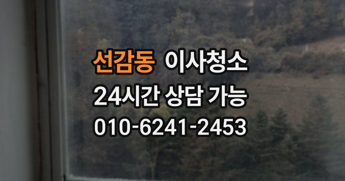 선감동 입주청소