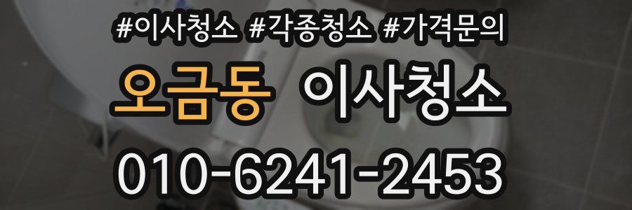 오금동 이사청소