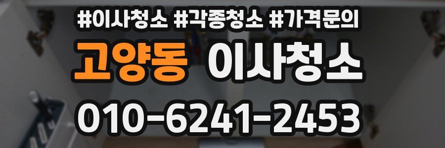 고양동 이사청소