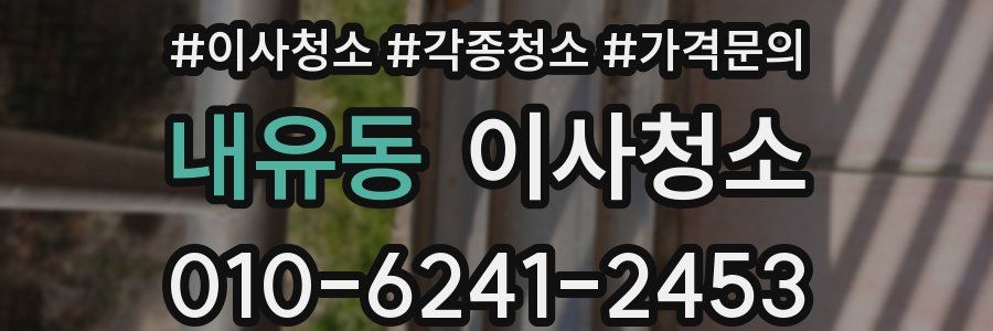 내유동 이사청소