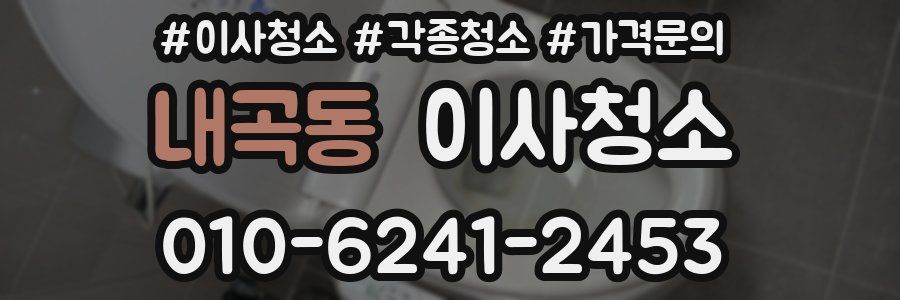 내곡동 이사청소