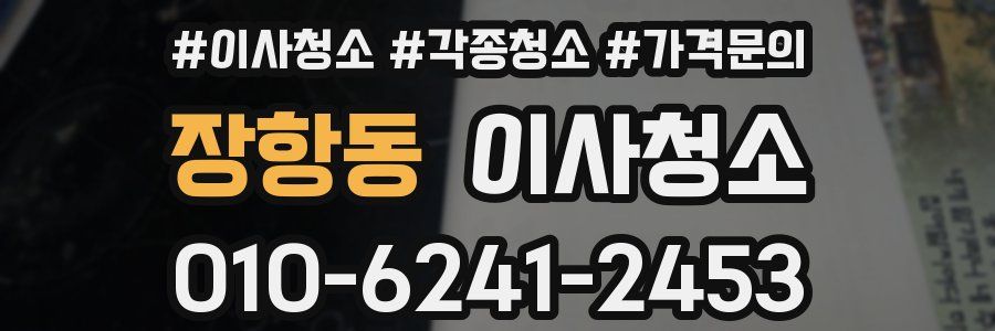 장항동 이사청소