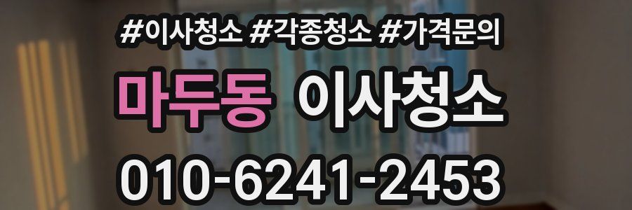 마두동 이사청소