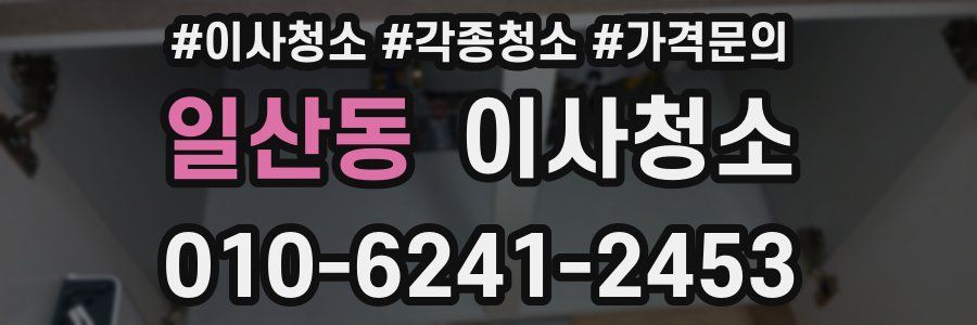 일산동 이사청소