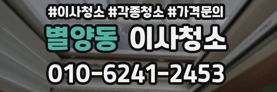 별양동 이사청소