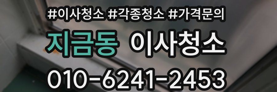 지금동 이사청소