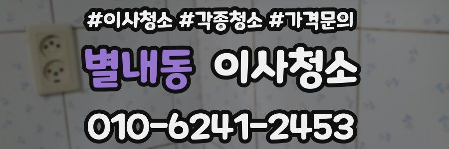 별내동 이사청소