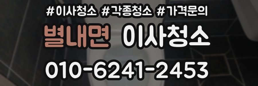 별내면 이사청소