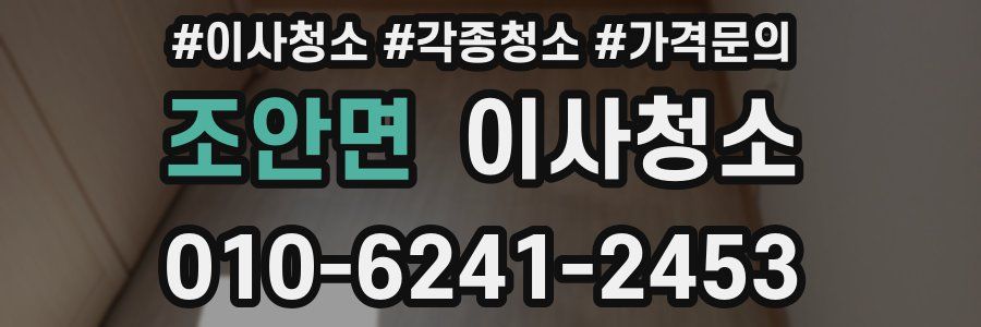 조안면 이사청소