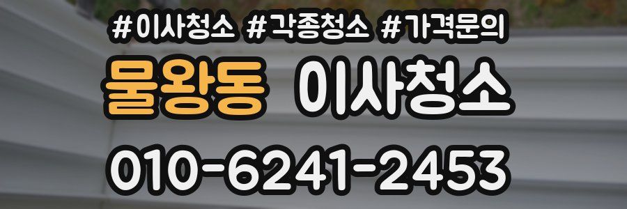 물왕동 이사청소