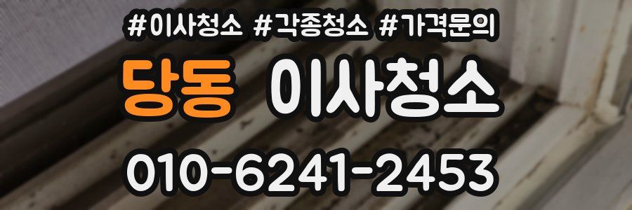 당동 이사청소