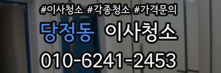 당정동 이사청소