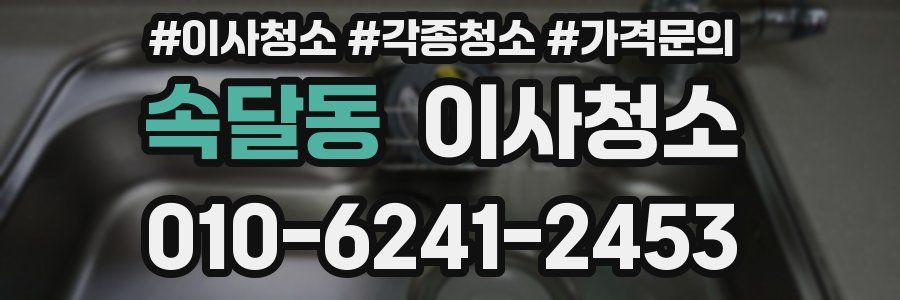 속달동 이사청소