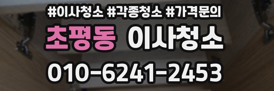 초평동 이사청소