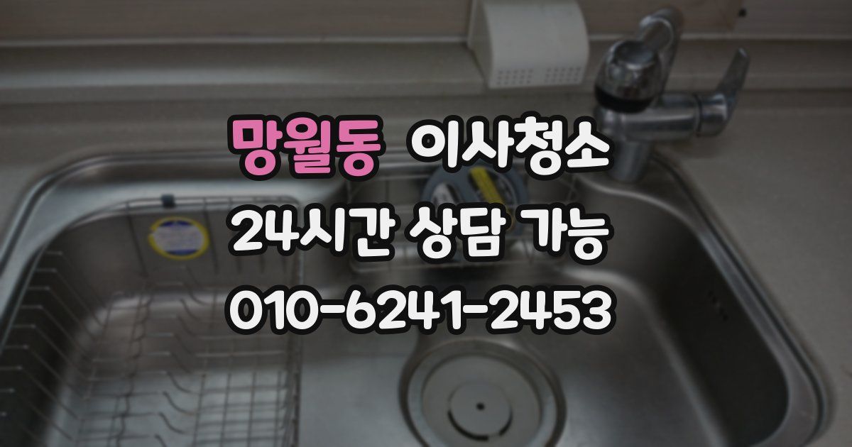 망월동 입주청소