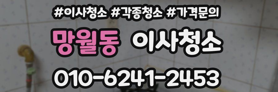 망월동 이사청소