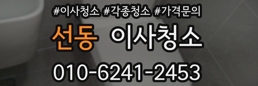 선동 이사청소
