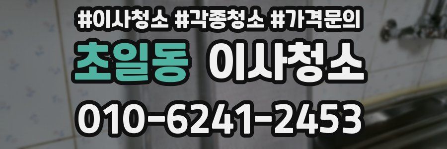 초일동 이사청소