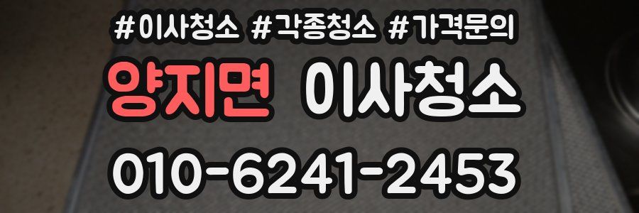 양지면 이사청소