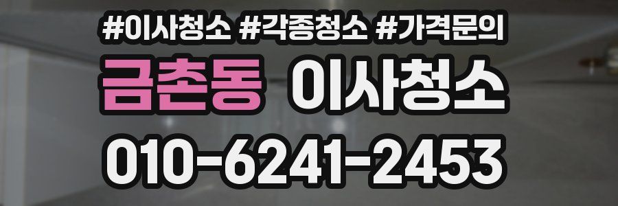금촌동 이사청소