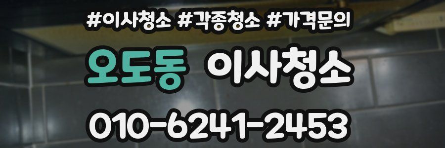 오도동 이사청소