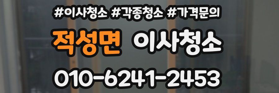 적성면 이사청소