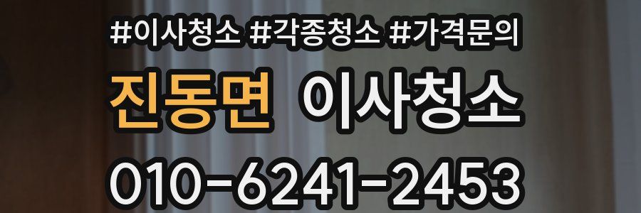 진동면 이사청소