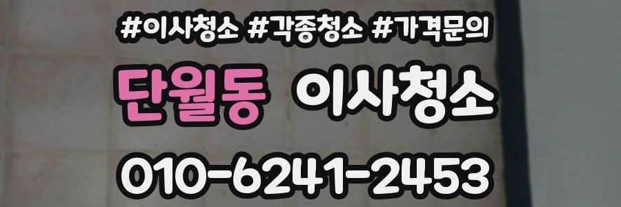 단월동 이사청소