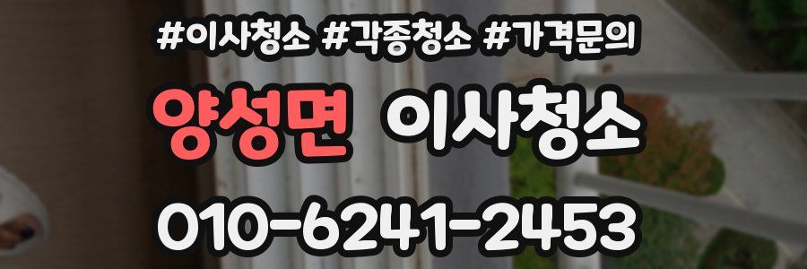 양성면 이사청소